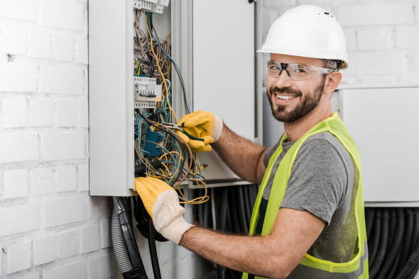 Best Industrial Electrical Services  in Vassar, MI