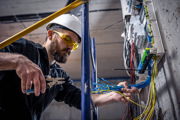 Best Generator Installation Services  in Vassar, MI
