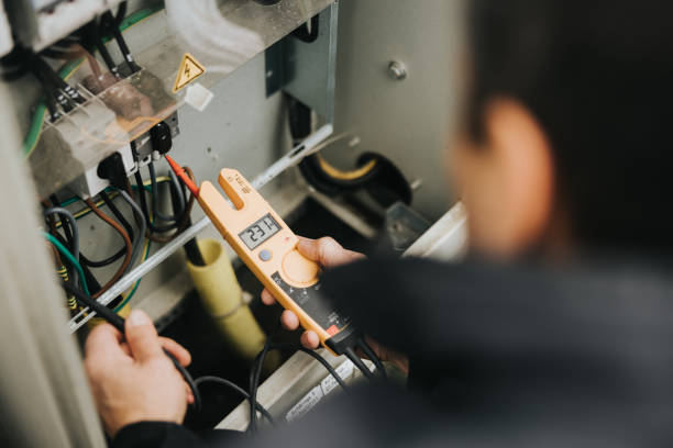 Best Licensed Electrician  in Vassar, MI