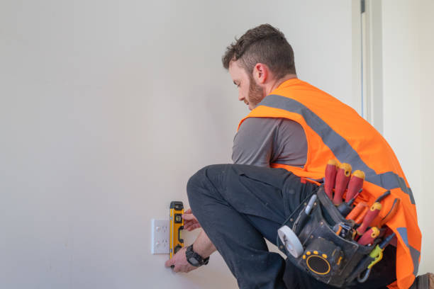 Best Electrical Rewiring Services  in Vassar, MI